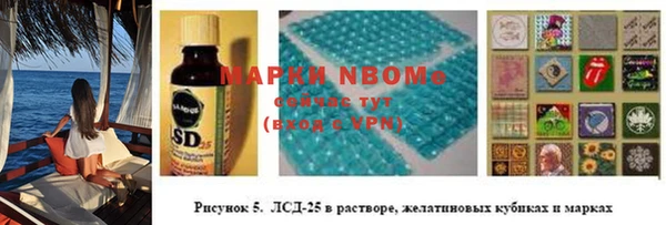 ГАЛЛЮЦИНОГЕННЫЕ ГРИБЫ Наволоки