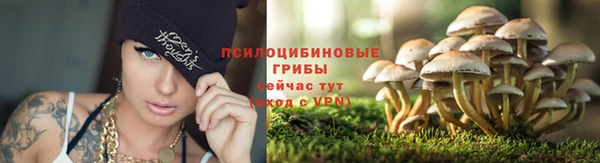 ГАЛЛЮЦИНОГЕННЫЕ ГРИБЫ Наволоки