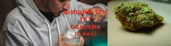 ГАЛЛЮЦИНОГЕННЫЕ ГРИБЫ Наволоки