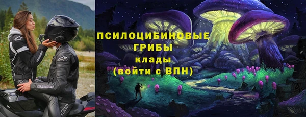 Альфа ПВП Надым