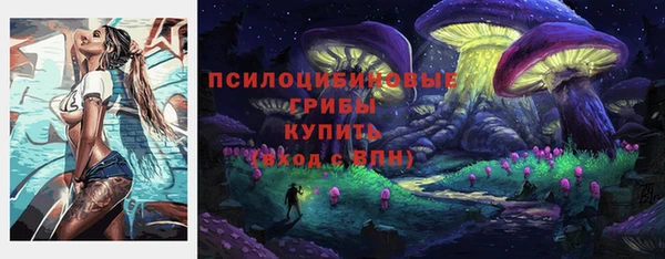 ГАЛЛЮЦИНОГЕННЫЕ ГРИБЫ Наволоки